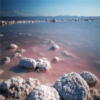 地城邂逅记忆憧憬测试版下载